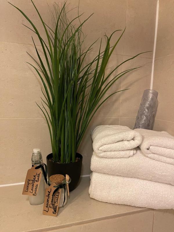 Standard Single Room image 3