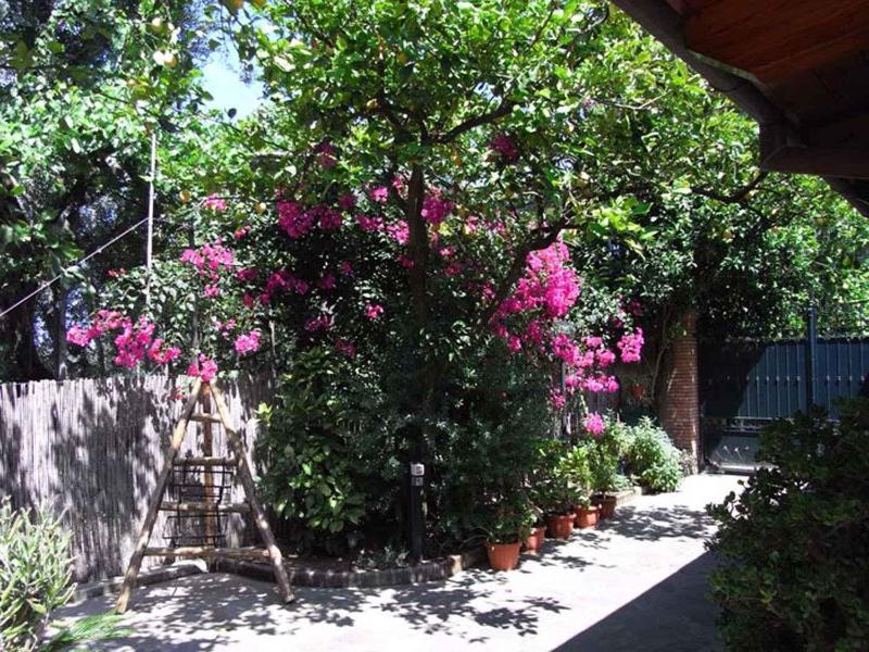 Apartment Sorrento 1 - image 14