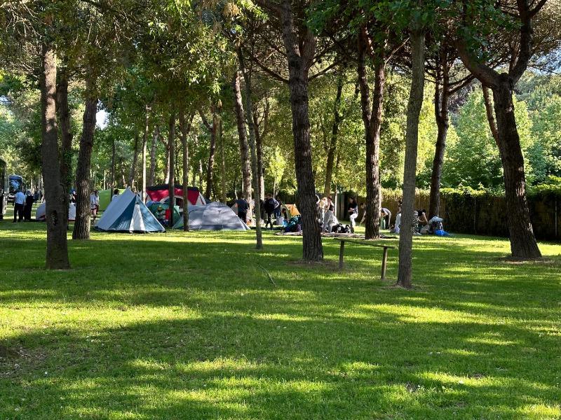 Empty Lot (Bring your own Tent) image 4