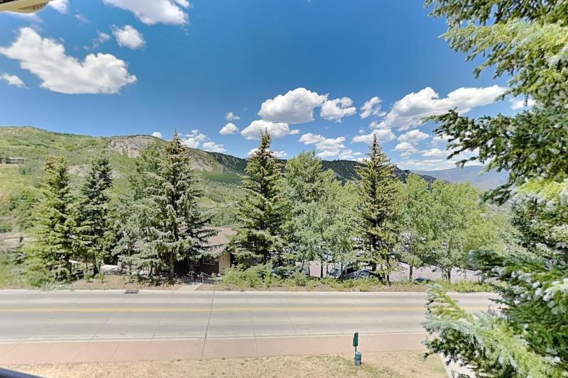 Timberline Condominiums 1 Bedroom plus Loft Deluxe Unit A3C - image 17