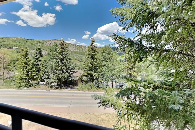 Timberline Condominiums 1 Bedroom plus Loft Deluxe Unit A3C - image 2