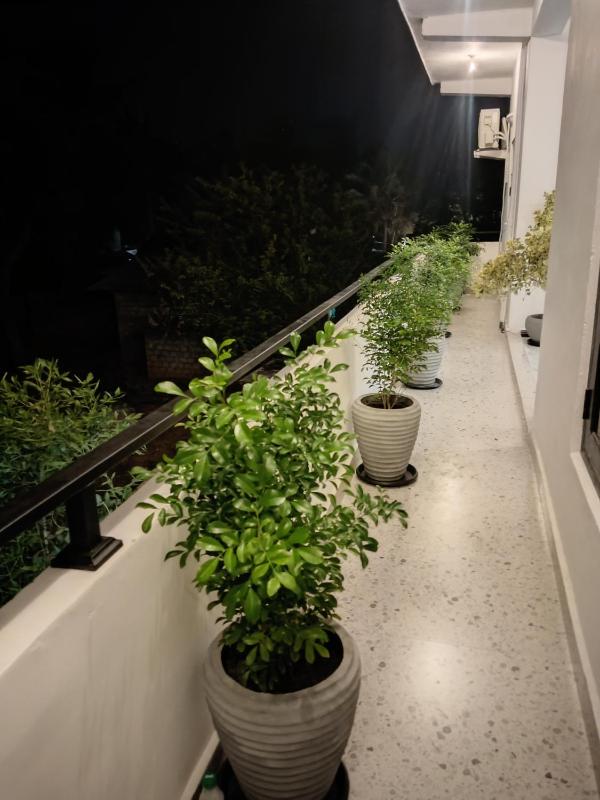 Sunbreeze Guest House - image 25