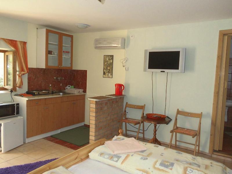 One-Bedroom Apartment image 2