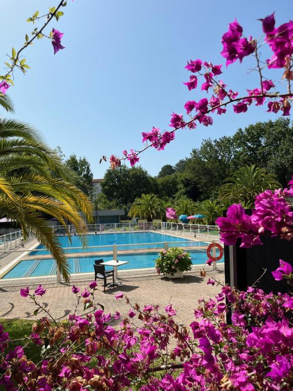 One-Bedroom Apartment - without Kitchen image 4