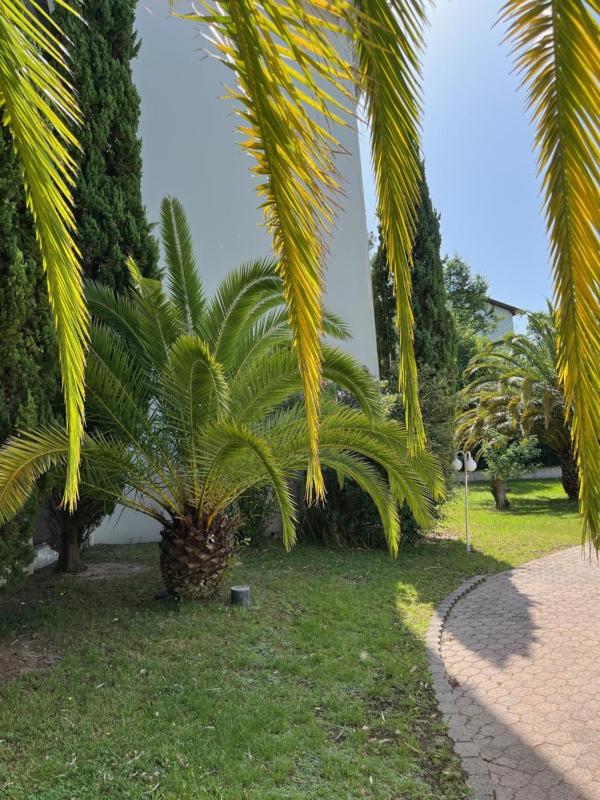 Double Room with Pool View image 4