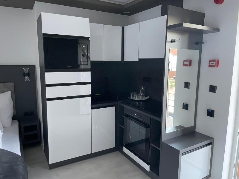Standard One-Bedroom Apartment image 3