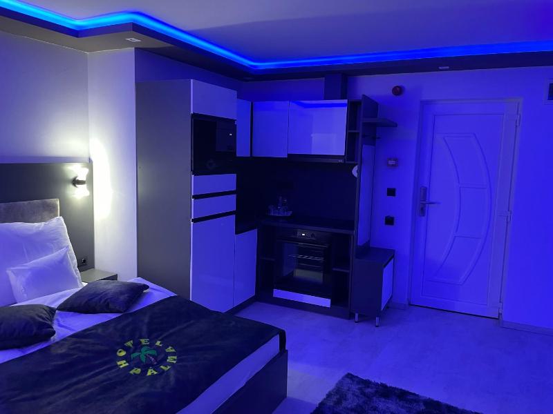 Superior One-Bedroom Apartment image 3