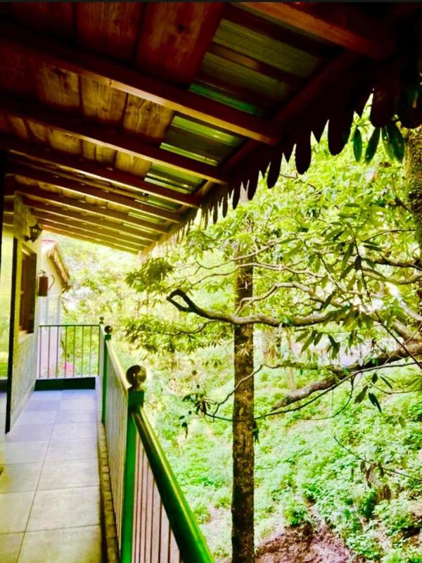 The Woods Resort by Travelista - image 11