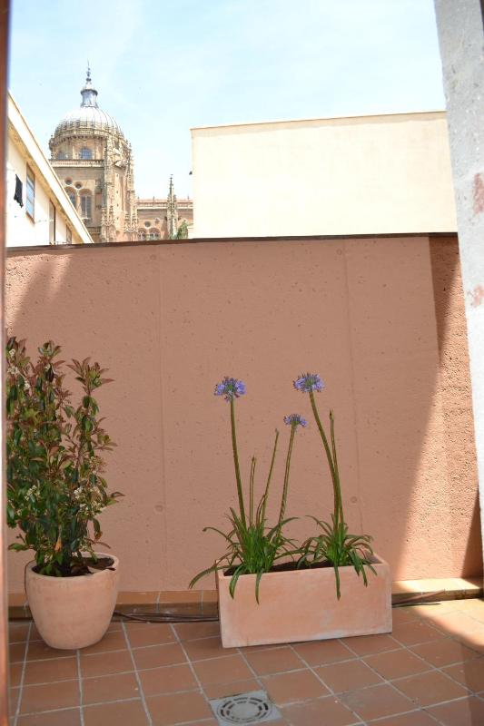 Superior Two-Bedroom Apartment with Patio -  Calle Gibraltar 18 image 3