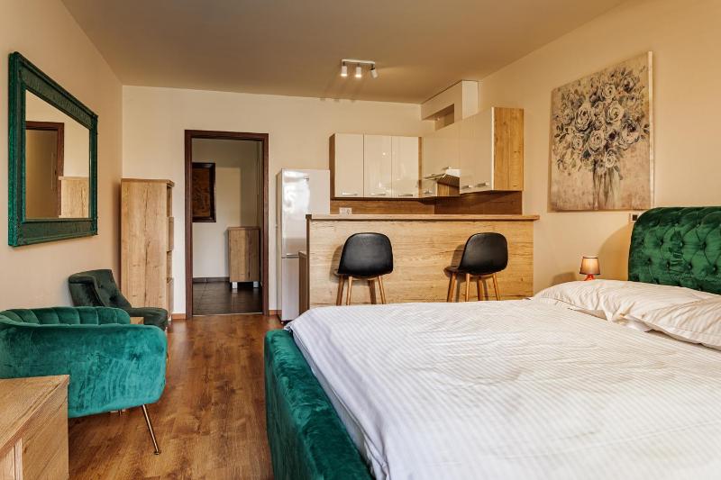 One-Bedroom Apartment image 1