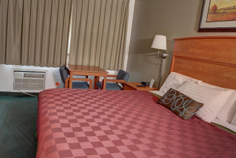 The Palms Motel - image 8