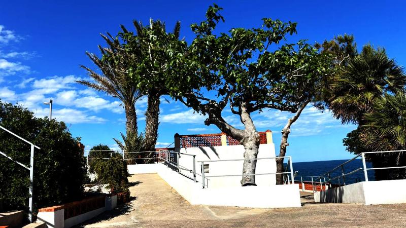 Sunrise Apartment en Playa de la Concha - image 15