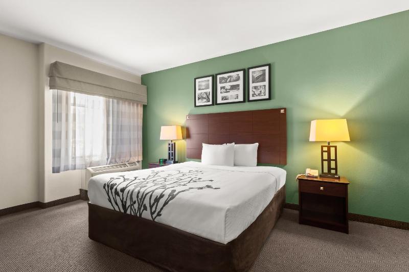 King Room - Accessible/Non Smoking image 3