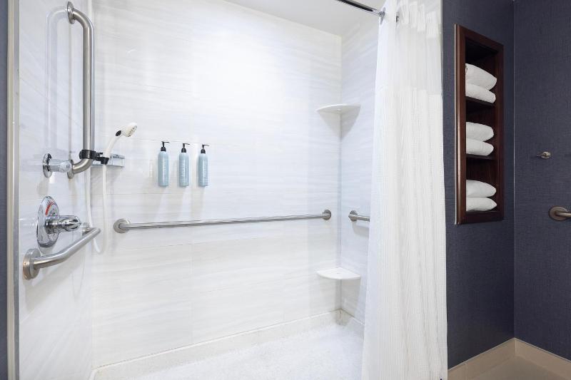 Studio King Suite with Sofa Bed - Mobility and Hearing Accessible with Roll-in Shower image 2