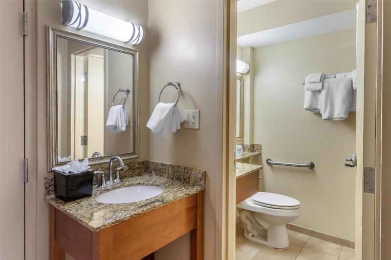 King Room with Pool View image 4