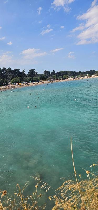 Appartamento a 100mt dal mare - image 9