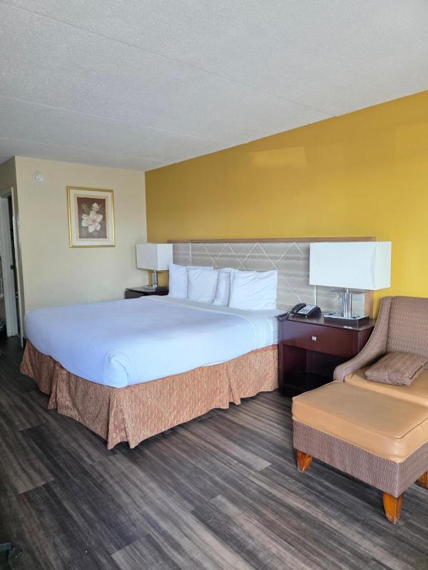 King Room - Pet Friendly image 4