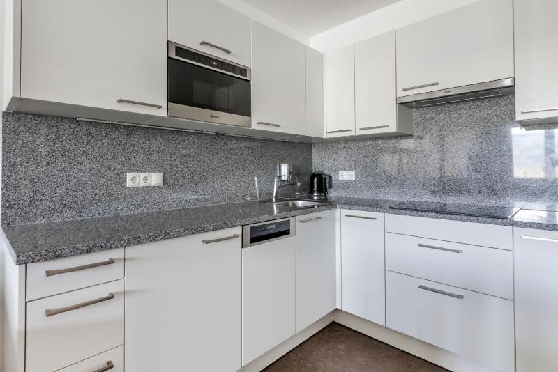 One-Bedroom Apartment image 4