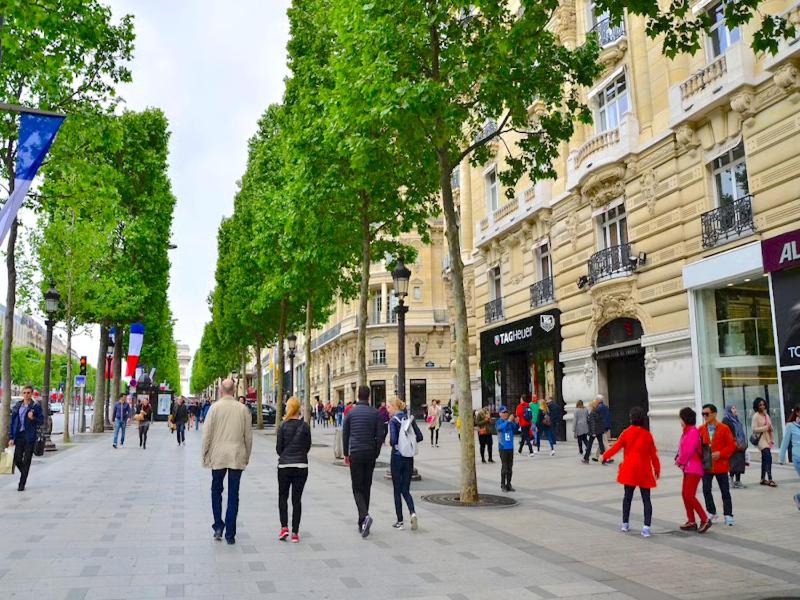 One-Bedroom Apartment image 2
