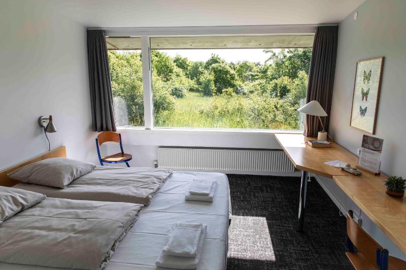 Deluxe Double Room image 3