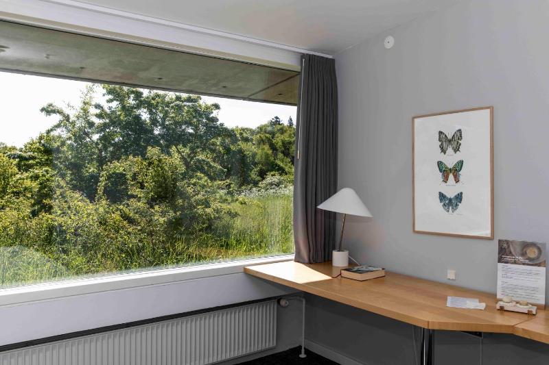 Deluxe Double Room image 4