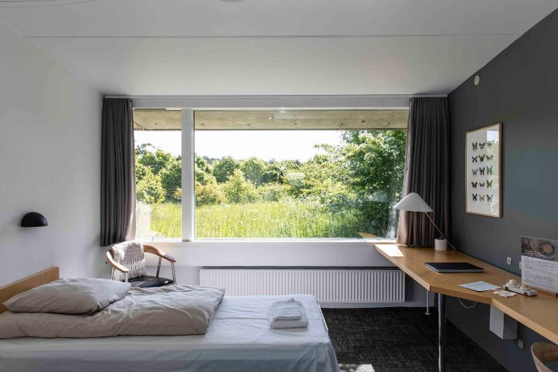 Double or Twin Room image 4