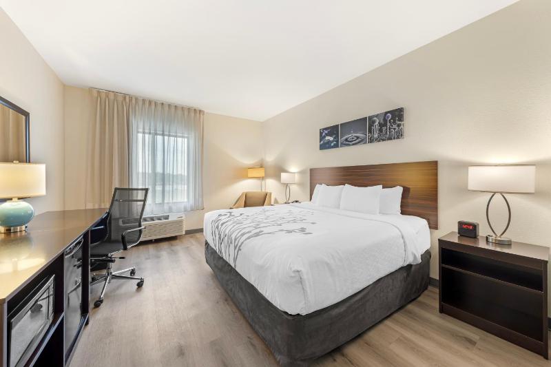 King Room - Non-Smoking image 2