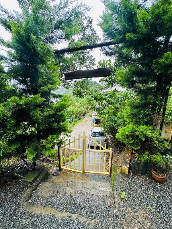 Greenery Holiday Homes - image 8