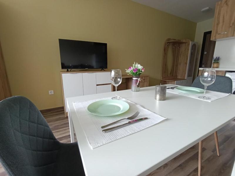 Ishirkov Residence Studio 2 - image 11