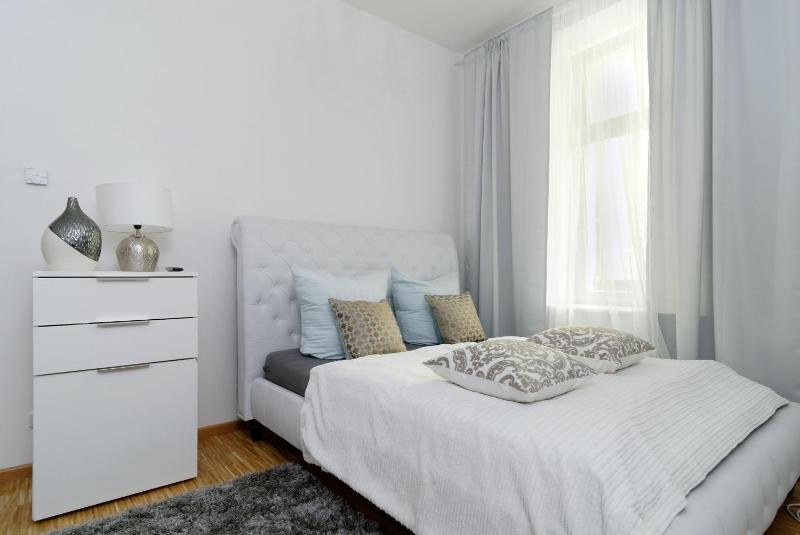 Superior One-Bedroom Apartment image 3