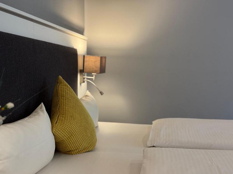 Deluxe Double or Twin Room image 4