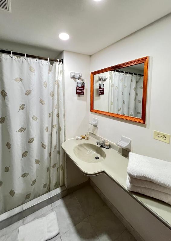 Hotel Casa Ballesteros - image 44