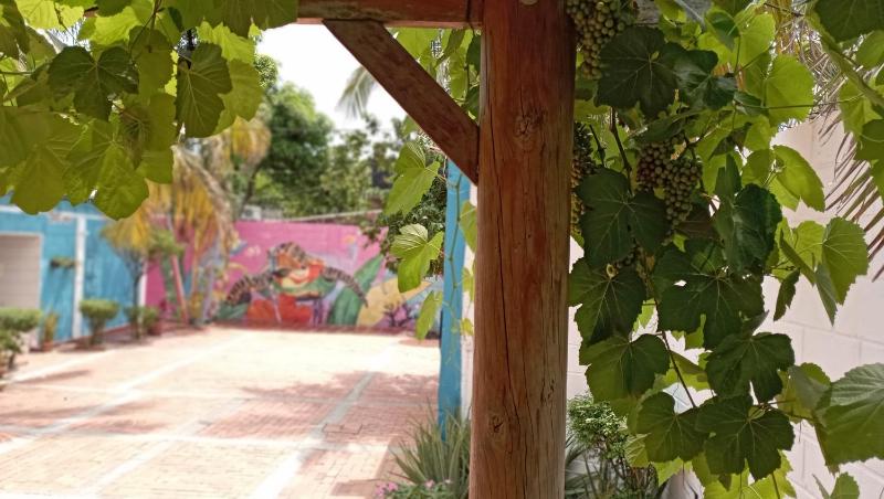 Monkey man Beach House - image 2