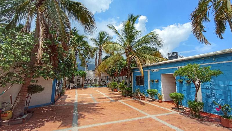 Monkey man Beach House - image 12