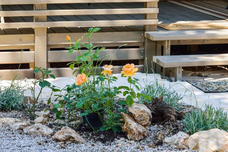 Sunny Home Soline - image 12