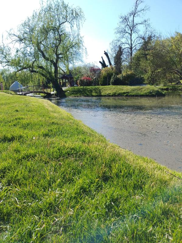 Guesthouse Citycenter - image 7