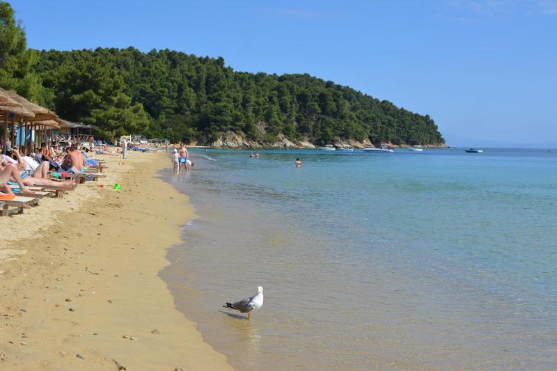 Ostria - image 9