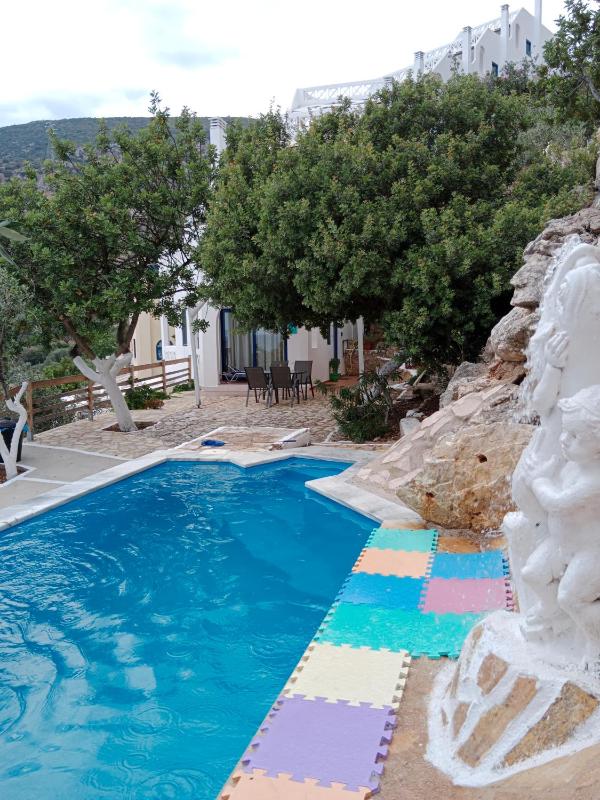 One bedroom Villa with Plunge Pool image 2