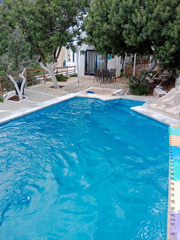 One bedroom Villa with Plunge Pool image 4