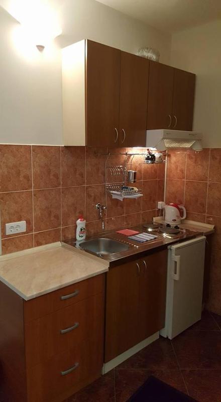Studio Apartment with Sea View image 4