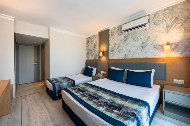 Standard Single Room image 3