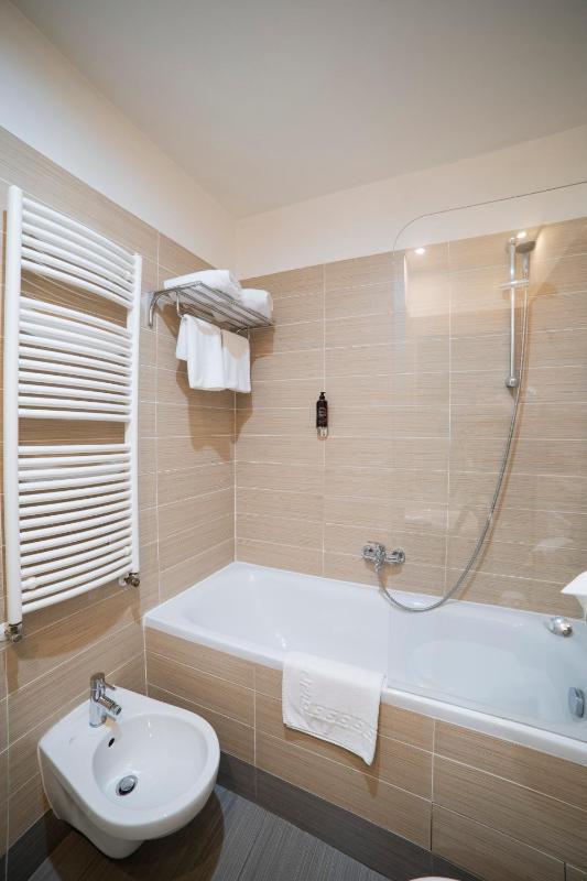 Hotel Assenzio Prague - image 2