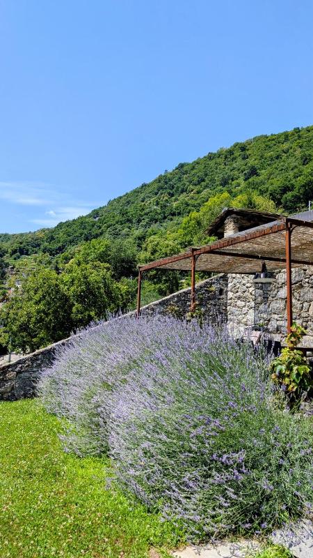 Two-Bedroom House image 4