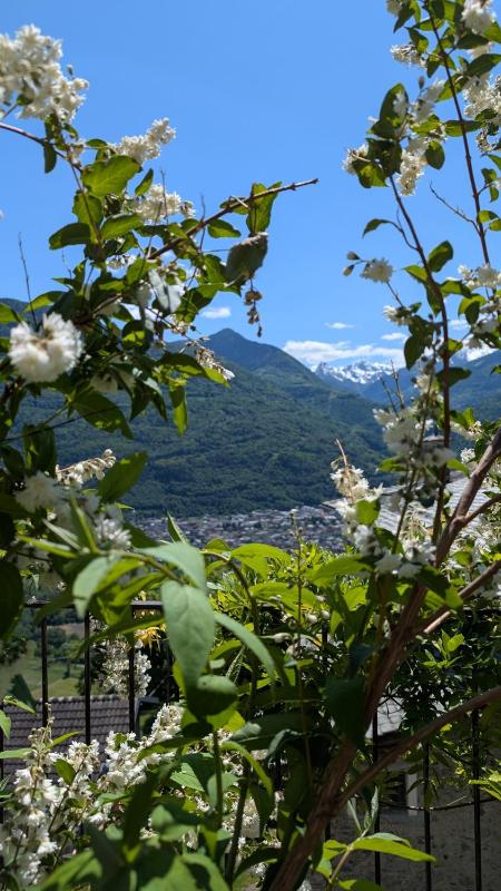 Two-Bedroom House image 2