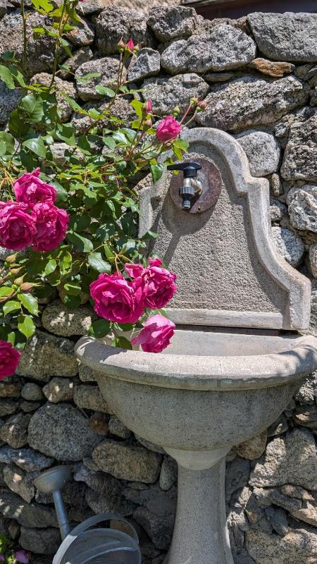 Two-Bedroom House image 3