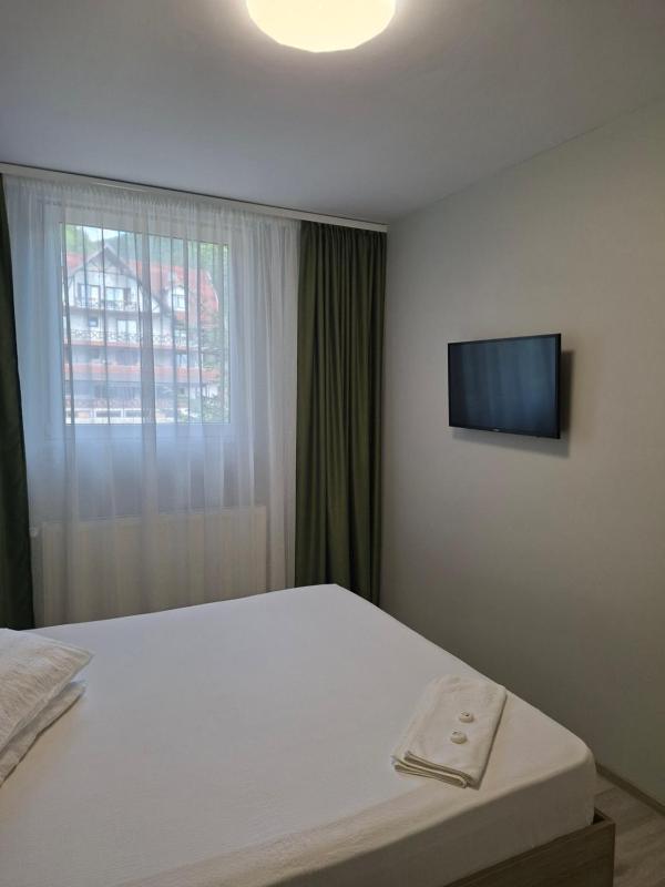 Deluxe Apartment image 4