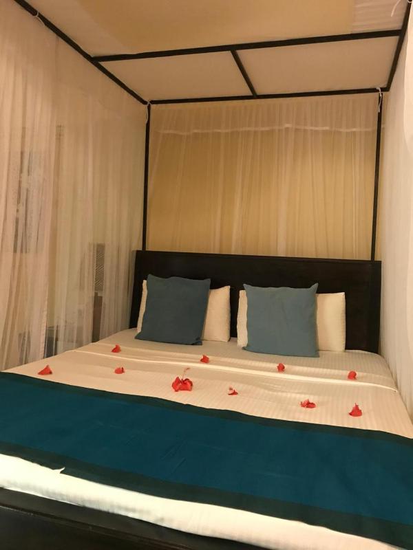 Green Bamboo House - image 14