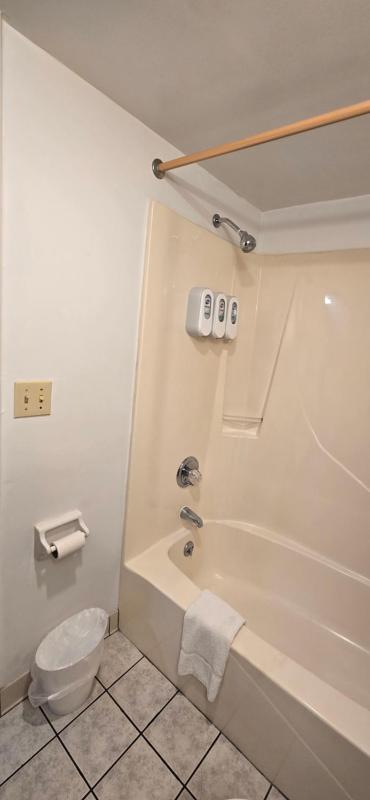 Deluxe King Suite image 2