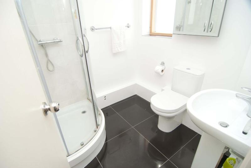 Large Two-Bedroom Apartment image 4