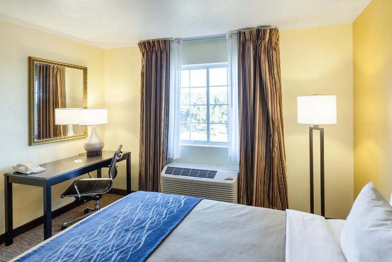 King Room image 2